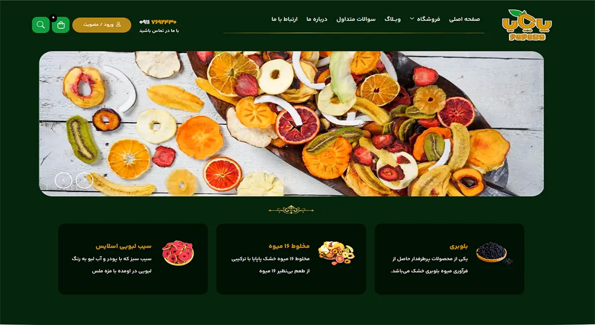 طراحی وب سایت فروشگاهی ای پاپایا